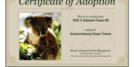Adopcje koali