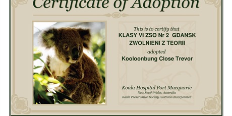 Powiększ grafikę: adopcje-koali-172820.jpg