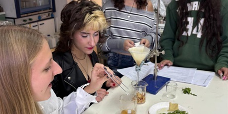 Powiększ grafikę: konkursy-matematyczno-informatyczne-660543.jpg