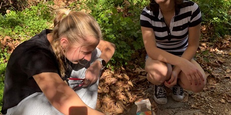 Powiększ grafikę: konkursy-matematyczno-informatyczne-660544.jpg