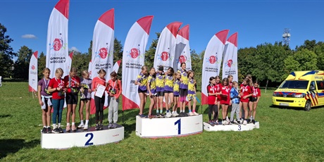 Powiększ grafikę: medale-na-sztafetowych-biegach-przelajowych-640255.jpg