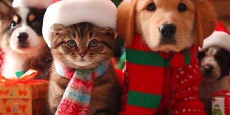 "Mikołaj dla zwierząt" w ZSO 2