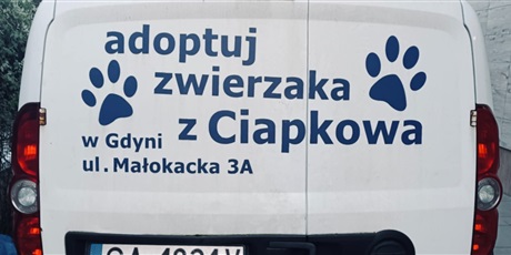 Powiększ grafikę: osiagniecia-uczniow-sp-33-561010.jpg