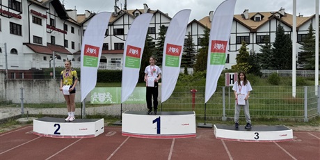 Powiększ grafikę: osiagniecia-uczniow-sp-33-623488.jpg