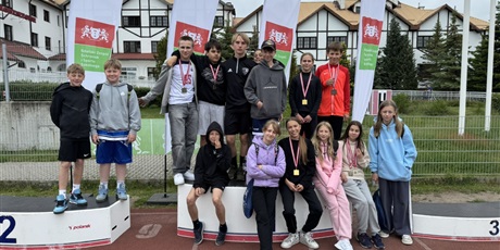 Powiększ grafikę: osiagniecia-uczniow-sp-33-623494.jpg