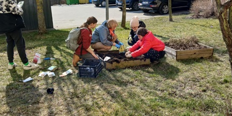 Powiększ grafikę: pierwszy-dzien-wiosny-600158.jpg
