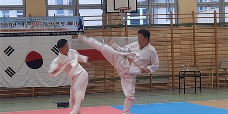 Powiększ grafikę: pokaz-taekwondo-w-naszej-szkole-701497.jpg