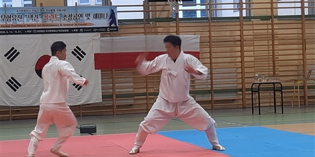 Powiększ grafikę: pokaz-taekwondo-w-naszej-szkole-701524.jpg