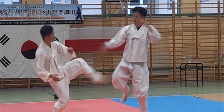 Powiększ grafikę: pokaz-taekwondo-w-naszej-szkole-701525.jpg