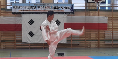 Powiększ grafikę: pokaz-taekwondo-w-naszej-szkole-701528.jpg