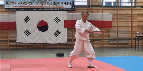 Powiększ grafikę: pokaz-taekwondo-w-naszej-szkole-701531.jpg