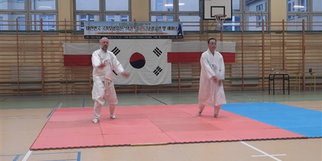 Powiększ grafikę: pokaz-taekwondo-w-naszej-szkole-701532.jpg