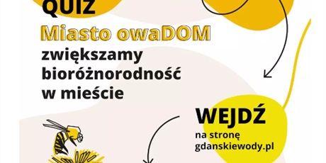 Powiększ grafikę: wybory-do-mlodziezowej-rady-miasta-gdanska-422721.jpg