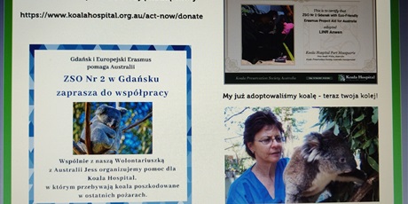 Powiększ grafikę: Akcja Koala - adopcje koali  - Gdansk and European Erasmus Aid for Australia